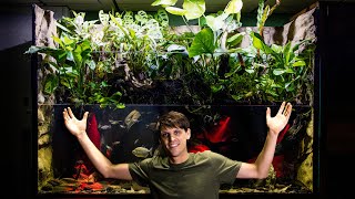 Adding Fish to The 350 Gallon Paludarium Build Part 4 [upl. by Ayotel]