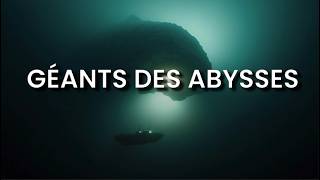 LE GIGANTISME des Abysses pourquoi les grands fonds engendrent des géants [upl. by Dearman]