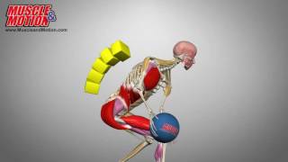 MedicineBall Rotational Throw [upl. by Eelnodnarb509]