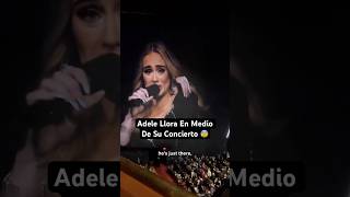 Fan Hace Adele LLORAR En Medio Del Concierto… [upl. by Thad]