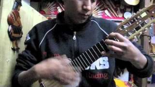 Fantastic Charango Playing in La Paz Bolivia in Local Music Store [upl. by Lara50]