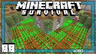 🌱 Minecraft Survival 88  FOOD FARM PROGRESS and STORAGE SILOS  Luna SSP [upl. by Valentijn277]