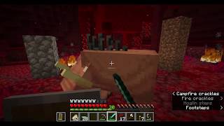 Minecraft 116 Hoglin Fighting Demonstration [upl. by Imis]