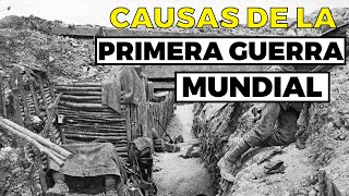 Las 5 PRINCIPALES CAUSAS de la Primera Guerra Mundial [upl. by Lemire926]