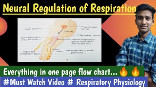 Neural Regulation of Respiration Respiratory Physio hindi Ashish Agrawal [upl. by Nad]