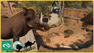 Back in our desert zoo with some WARTHOGS Wahat Jamila  Planet Zoo  12 [upl. by Anauqed]