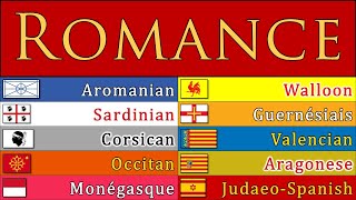 OTHER ROMANCE LANGUAGES [upl. by Tiduj]