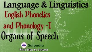 Organs of speech in Phonetics and its Functions English Phonetics amp Phonology Aspects of Language [upl. by Borras]