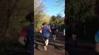 Wynyard Woodland parkrun  Start [upl. by Nelly]