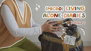 Micro Living Alone Diaries 🍰 Prologue 3 • what I bought vs what I got shopee haul and more [upl. by Alain]