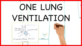 ONE LUNG VENTILATION PHYSIOLOGY SERIES [upl. by Allenrad]