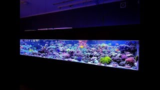 Aquaforest 912g Mixed Reef [upl. by Eob]