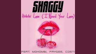 Habibi Love I Need Your Love [upl. by Petulah623]