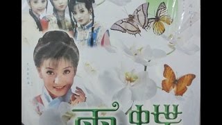 Faye Wong 王菲  偿还 Chang Huan 成都音像 Cheng Du Production  DVD版 [upl. by Aihsas]