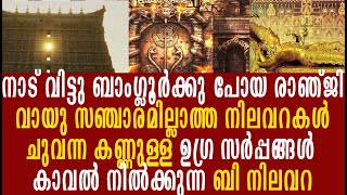 പത്മനാഭസ്വാമി ക്ഷേത്രവും അറിയാ കഥകളും കാണാം Padmanabhaswamy temple [upl. by Perretta]