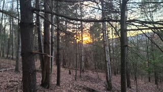 2022 PA Deer Season Self Filmed Deer Down [upl. by Pelletier]