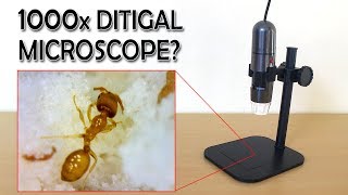 1000x Digital Microscope Review  Sample images  Gearbest [upl. by Herrah183]