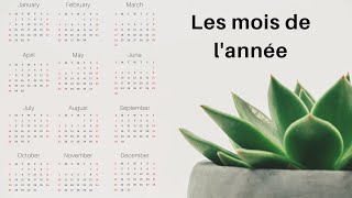 Versini  Janvier Février  Les mois de lannée  YourKidTv [upl. by Aser]