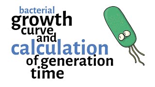 Bacterial Growth Curve amp Generation time Calculation [upl. by Johnsson513]