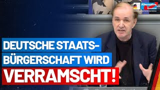 Die deutsche Staatsbürgerschaft wird verramscht  Dr Gottfried Curio  AfDFraktion im Bundestag [upl. by Orvie713]