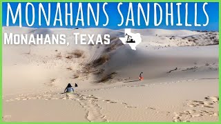 Monahans Sandhills  Texas State Parks [upl. by Melany]