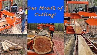 Ultimate Sawmilling Montage WoodMizer LT15 in Action [upl. by Goddard]