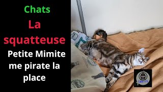 Ptite Mimite la squatteuse de lit [upl. by Acirderf]