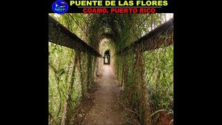 el PUENTE de LAS FLORES en COAMO [upl. by Nelyt]