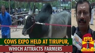 Cows Expo Held at Tirupur Which Attracts Farmers  Thanthi TV [upl. by Rahel351]