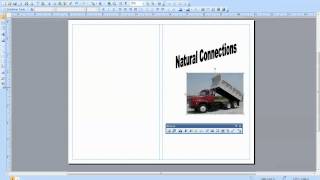 Creating a Brochure in Publisher [upl. by Elacsap964]