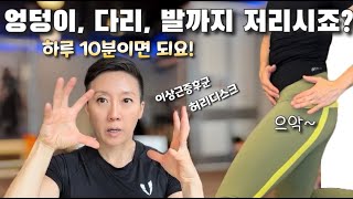 엉덩이통증 다리저림 허리통증 하루 10분으로 해결  허리디스크 이상근증후군 자가진단법과 안보면 후회하는 통증완화 스트레칭  PIRIFORMIS SYNDROME [upl. by Jurkoic]