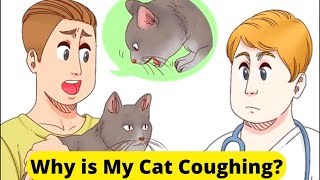 Why is your cat coughing Top 6 possible reasons [upl. by Yesima768]