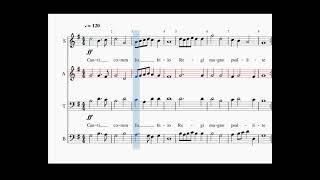 Canticorum Jubilo alto GF Händel [upl. by Llenrahs81]