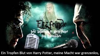 Erzfeinde – Lord Voldemort amp Harry Potter feat Dumbledore der märz hase Official Lyric Video [upl. by Cindy]