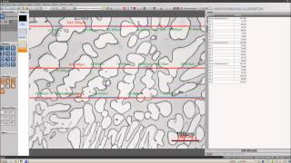Austenite Spacing report [upl. by Zondra]