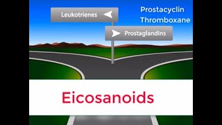 Eicosanoids in 2 minutes Prostaglandins Prostacyclin Thromboxane and Leukotrienes [upl. by Arreit]