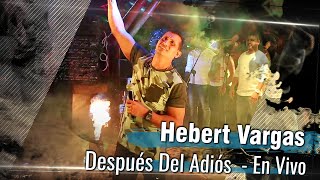 Hebert Vargas  Después Del Adiós  En Vivo [upl. by Adyl]