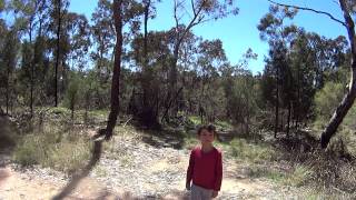 Fossicking in the outback of Inverell NSW [upl. by Tish]