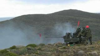 Rheinmetall Mk20 Rh202 Twin AA firing [upl. by Elma]