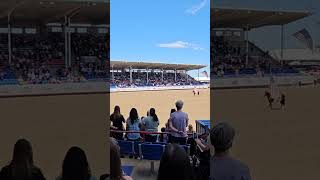 USA National Anthem at the Greeley Stampede 2024 usa nationalanthem rodeo [upl. by Ajiak531]