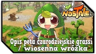 Nostale 12  Opis Peta Wróżka Wiosenna  Czarodziejskie Grassi [upl. by Nyrehtac]