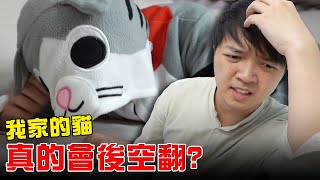 我家的貓會後空翻？壘咪翻一個！【最近紅什麼】《爆笑短劇》 [upl. by Ytissahc]