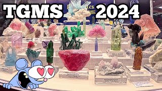 Tucson Gem amp Mineral Show 🥰❤️💎 gems crystals tucsongemshow tourmaline pegmatites beryl rocks [upl. by Dloraj]