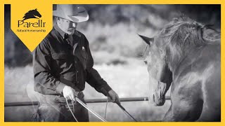 Parelli Horse Training  Horsemanship [upl. by Lleynad]