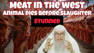 Eating meat in the west where animal may die before slaughter cuz of stunning Assim assim al hakeem [upl. by Garrek]