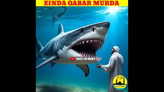 Zinda qabar murda viral islamic shorts [upl. by Elatia274]