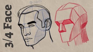 How to Draw 34 Face LOOMIS Method  Cintiq 16 [upl. by Nairrot443]