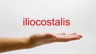 How to Pronounce iliocostalis  American English [upl. by Ajiram]