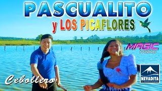 PASCUALITO  cebollero OFICIAL 2017 NEVADITA PRODUCCIONES ᴴᴰ✔ [upl. by Aerda]