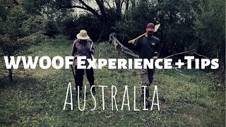 WWOOFING Experience Gone Wrong  Tips To Avoid Bad Volunteer  Australia [upl. by Ahscrop834]